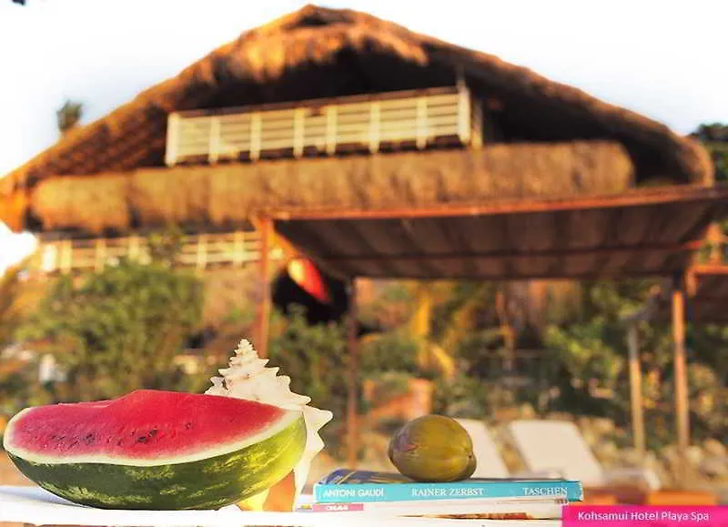 Kohsamui Hotel Del Mar Cartagena Colombia